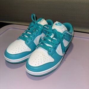 Nike Aqua and White Low-Top Sneakers